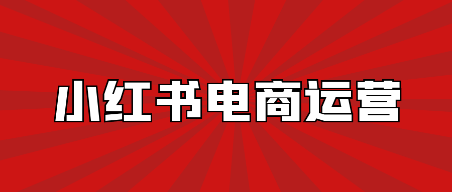 红商学堂-小红书电商运营入门到精通 - 金米资源网-金米资源网