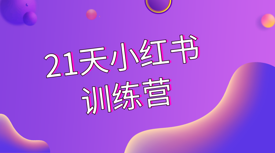 苏阿九【第六期】21天小红书训练营，打造爆款笔记 - 金米资源网-金米资源网